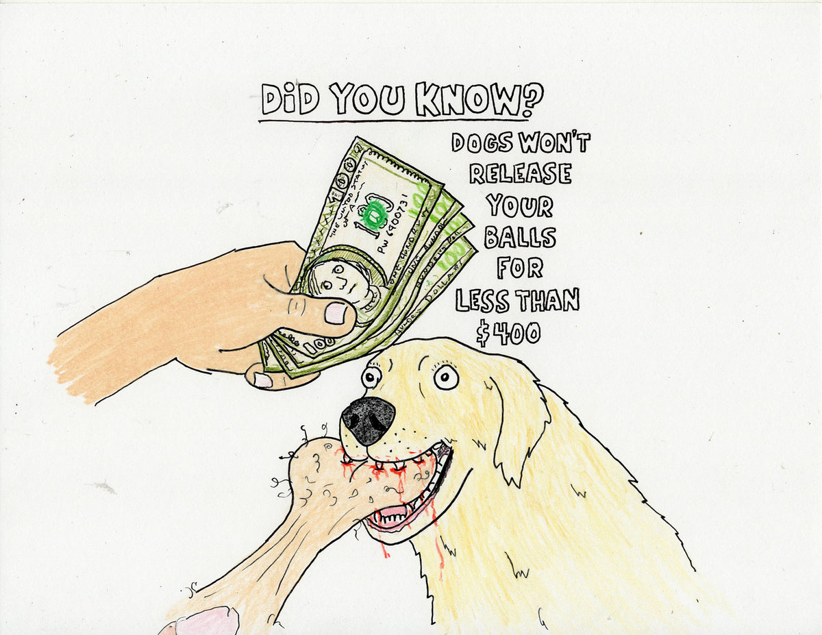 DID YOU KNOW? (DOGS)