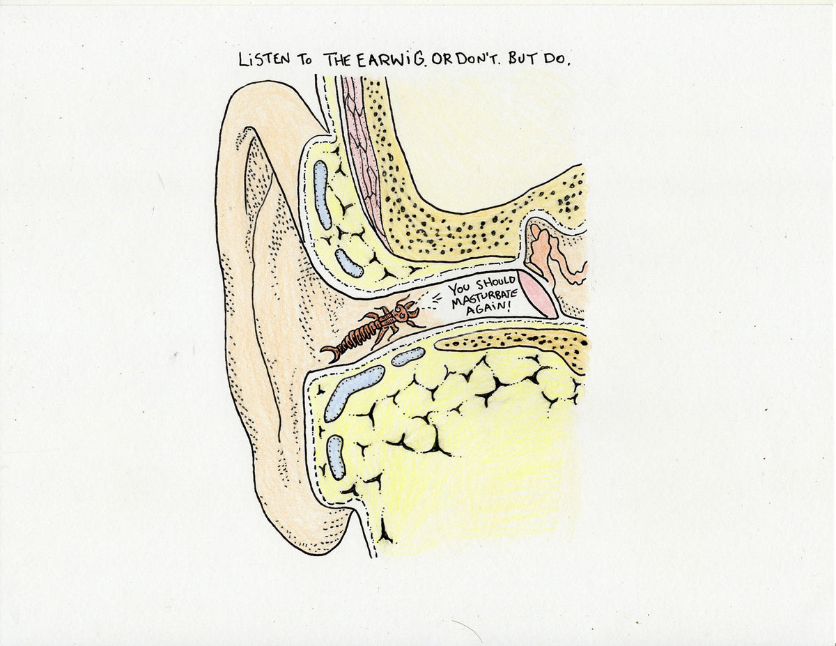 LISTEN TO THE EARWIG. OR DON'T, BUT DO.