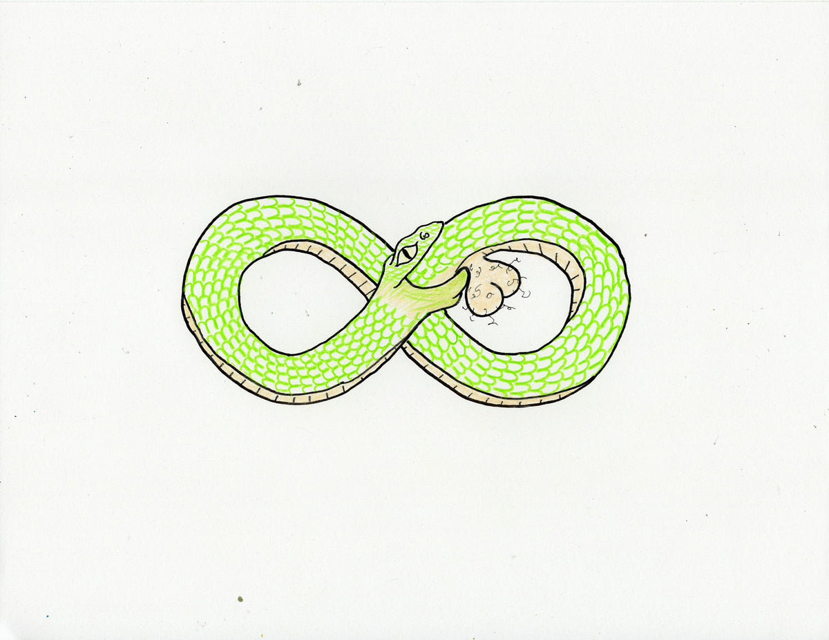 OUROPOROUS 2