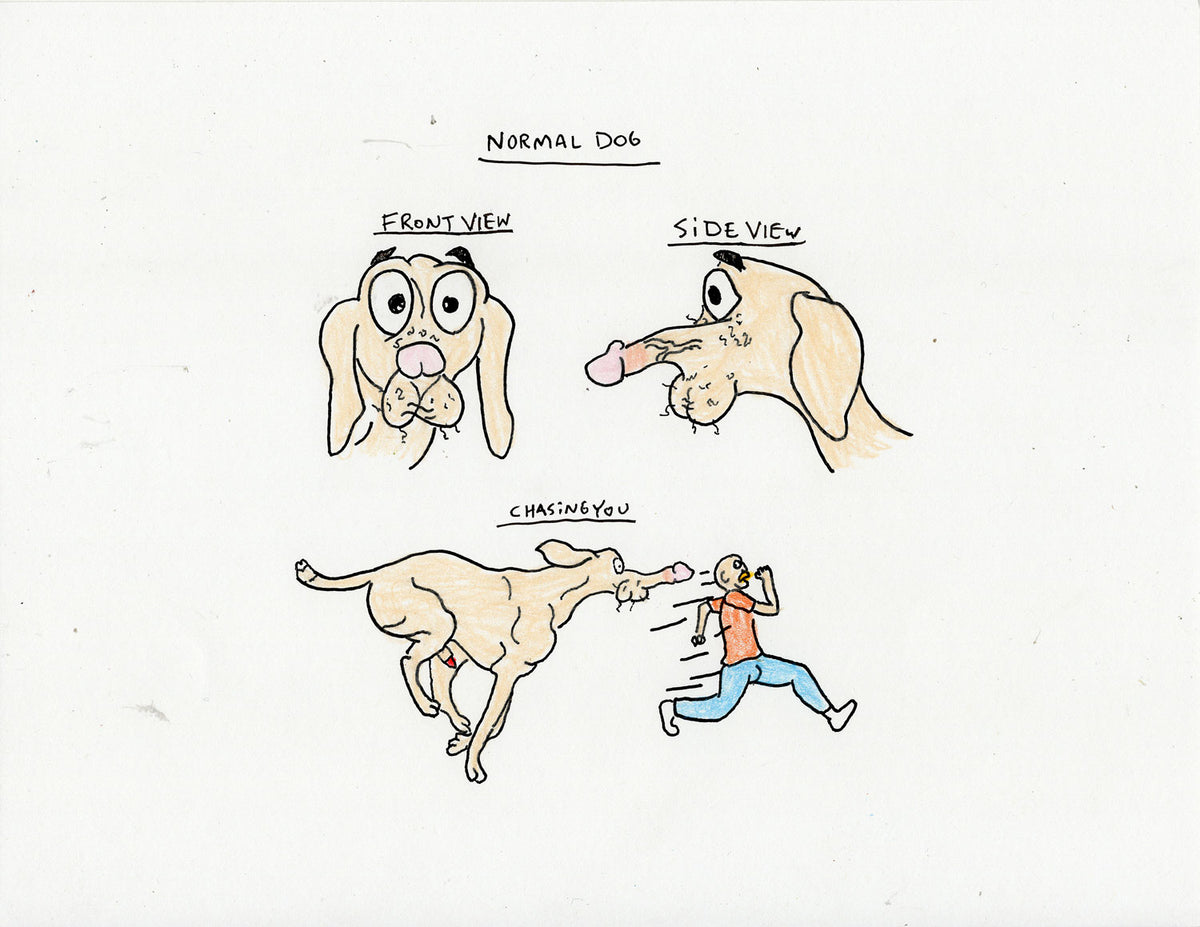 NORMAL DOG