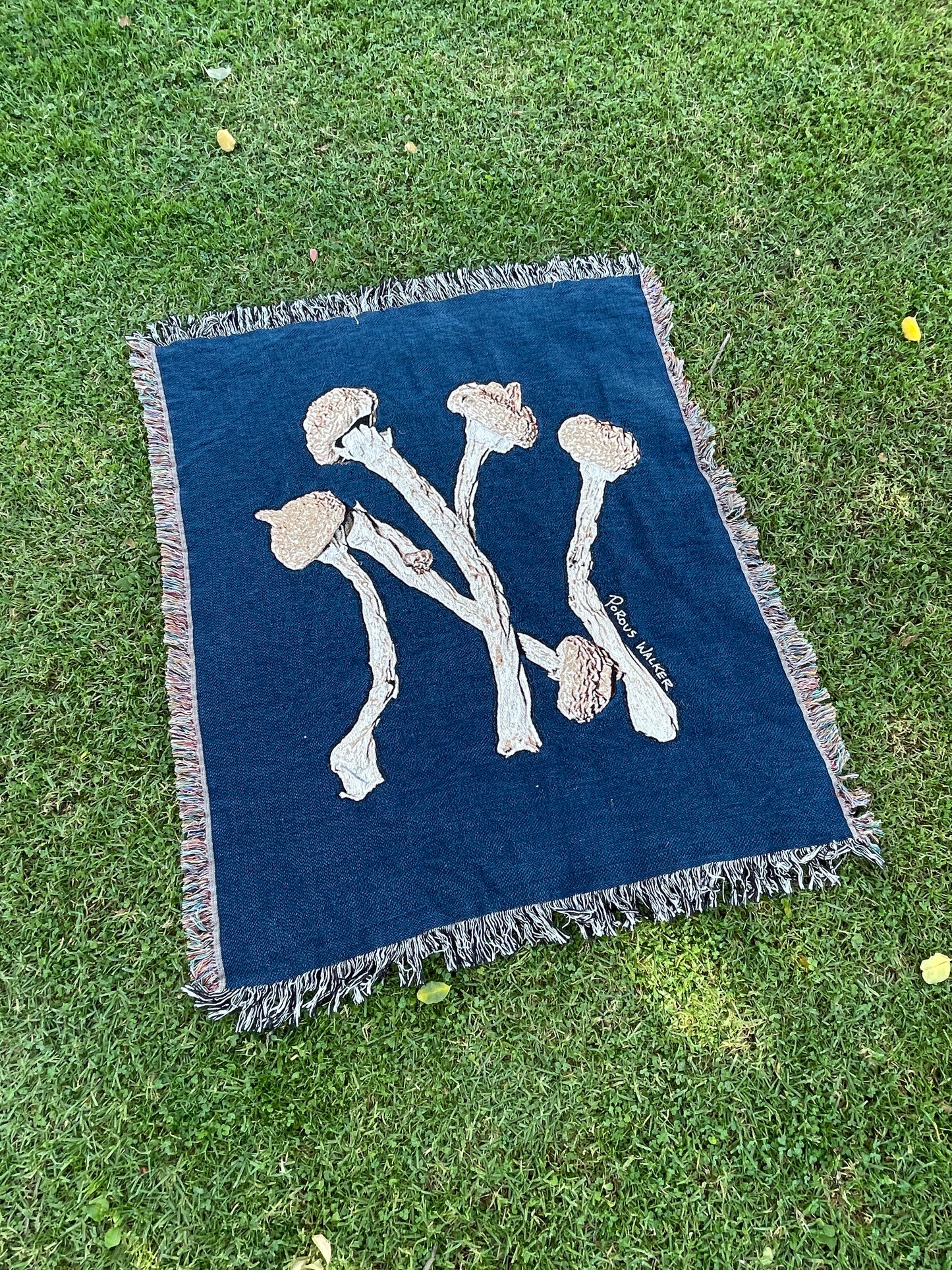 SPORETS BLANKET (NY)