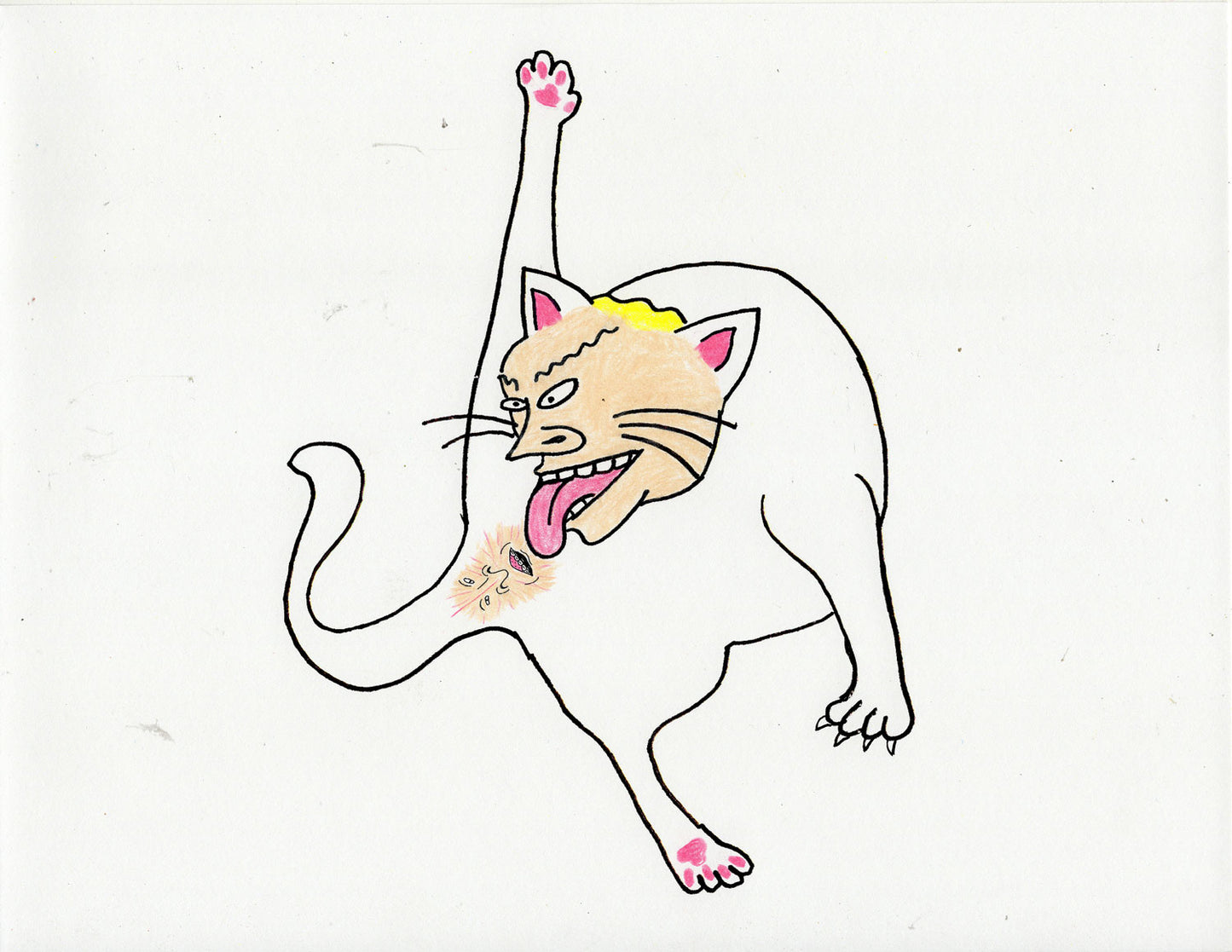 BEAVIS AND BUTTHOLEHEAD CAT