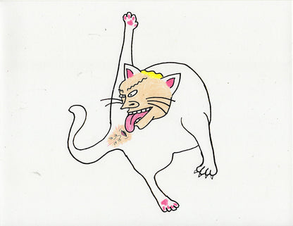 BEAVIS AND BUTTHOLEHEAD CAT