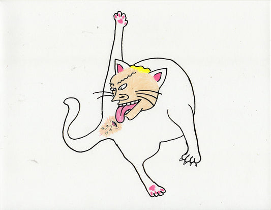BEAVIS AND BUTTHOLEHEAD CAT