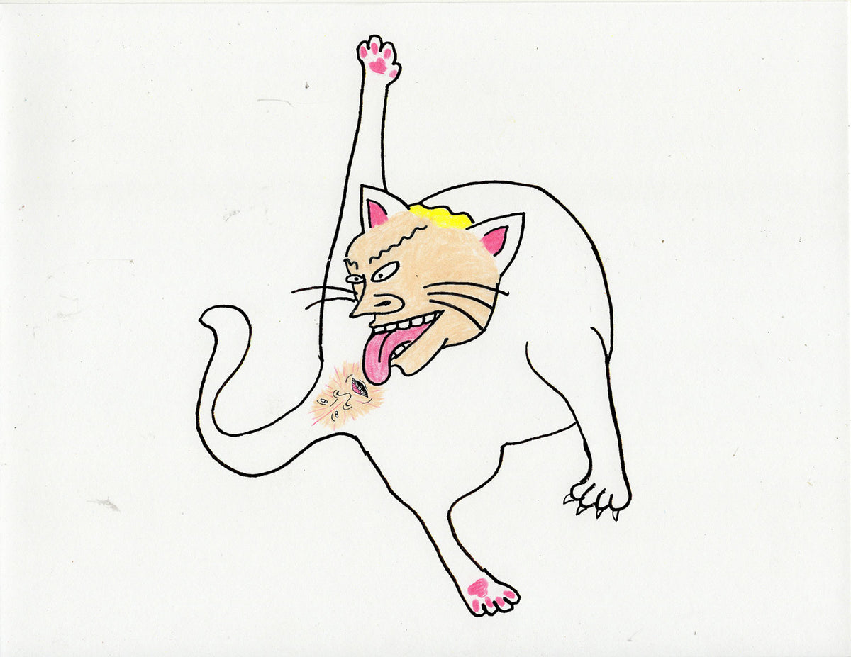 BEAVIS AND BUTTHOLEHEAD CAT – POROUS WALKER