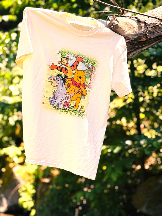 POOHBS T