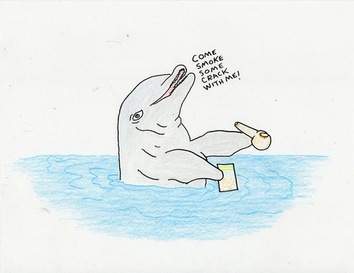 COME SMOKE CRACK WITH ME DOLPHIN