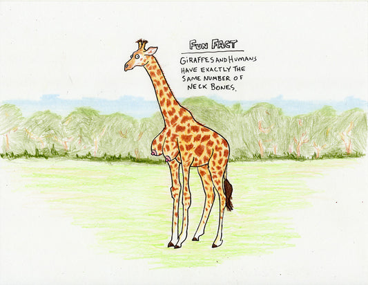 GIRAFFE FACT