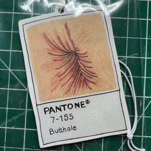 BUTTHOLE PANTONE AIR FRESHENER (2 PACK)