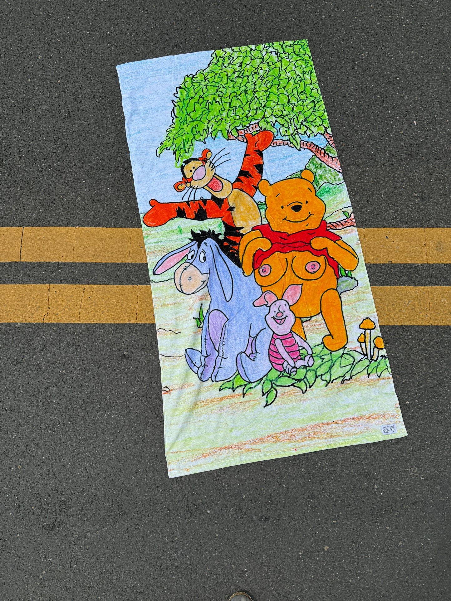 POOHBS TOWEL