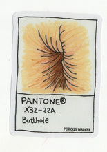 Load image into Gallery viewer, NEW 9 STICKER PACK AND PIN!