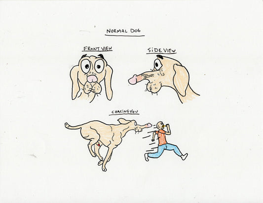 NORMAL DOG