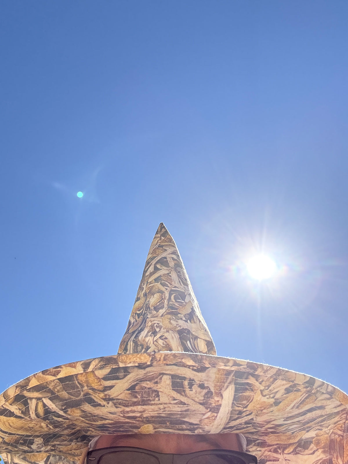 CAMUSHROOMOFLAGE WIZARD/WITCH SUN HAT
