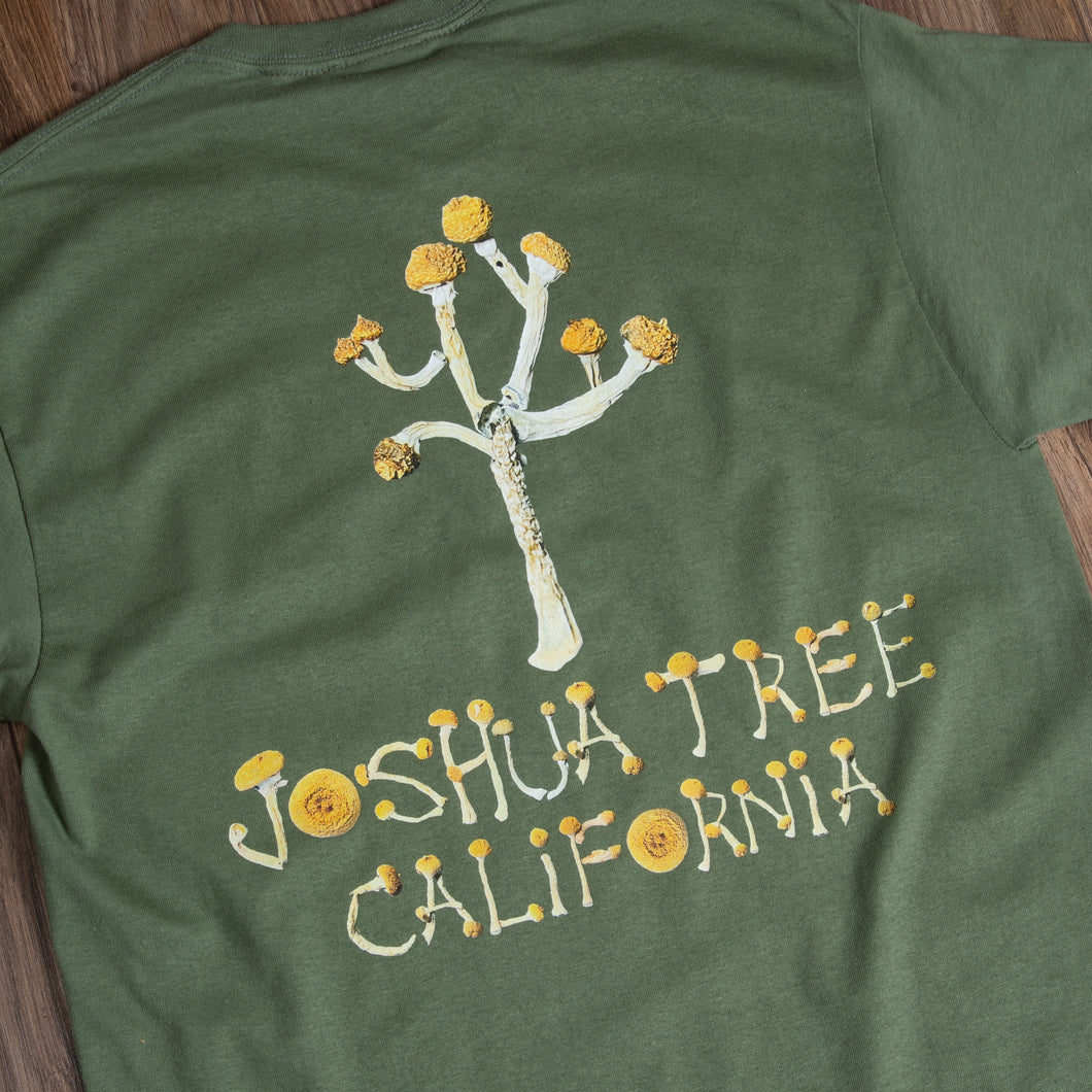 JOSHUA TREE T
