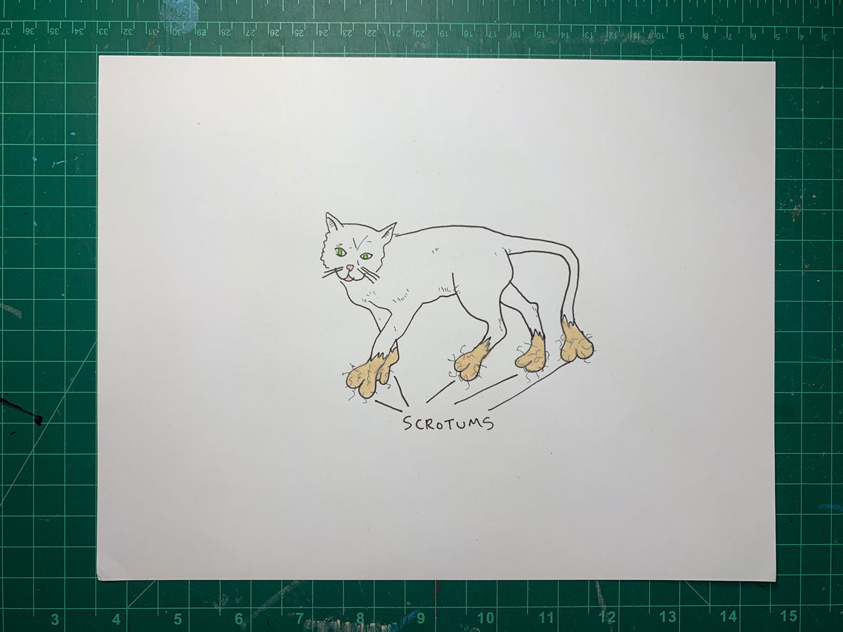 SCROTUMS Original Drawing