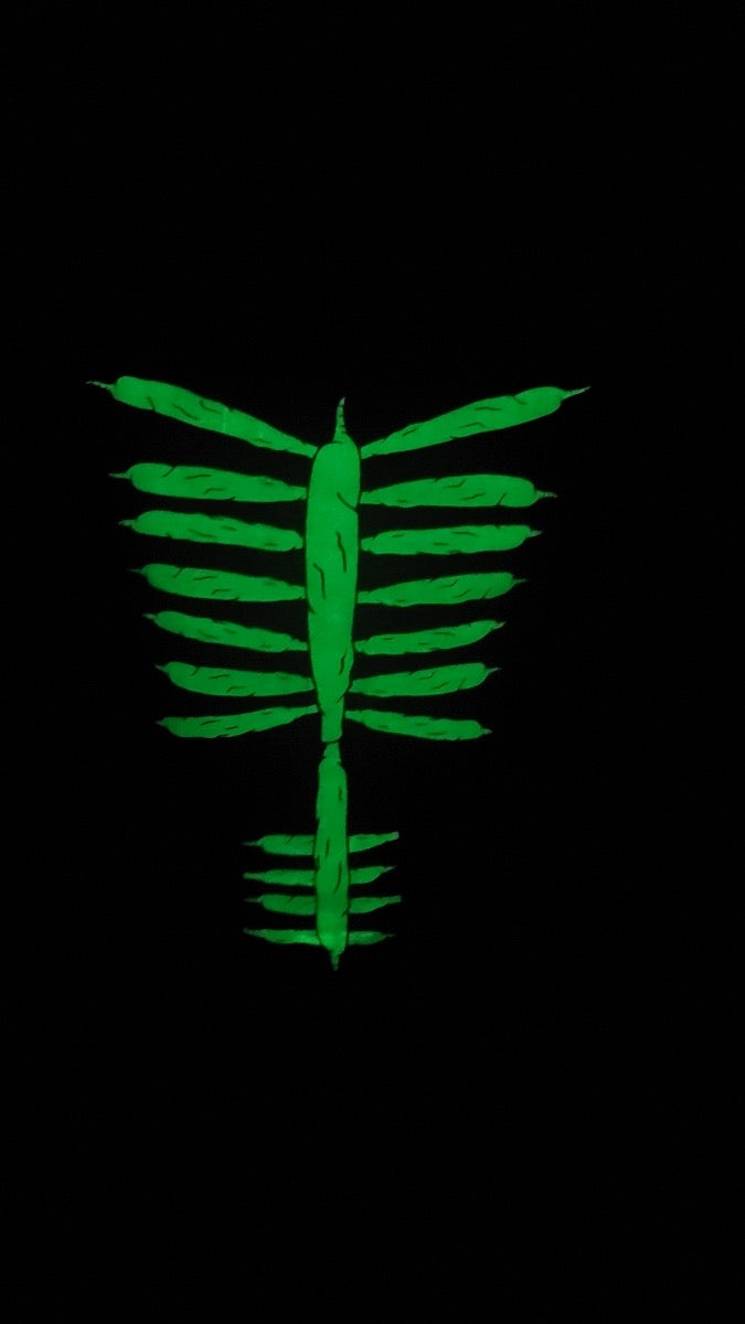 SKELEJOINT LONGSLEEVE GLOW IN THE DARK