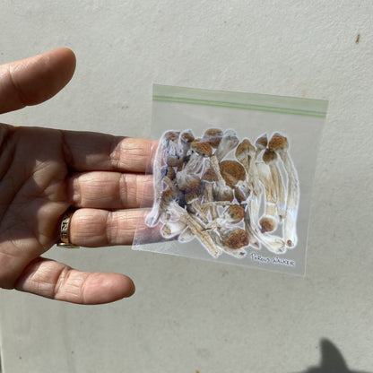 BAG OF SHROOMS TOTE BAG