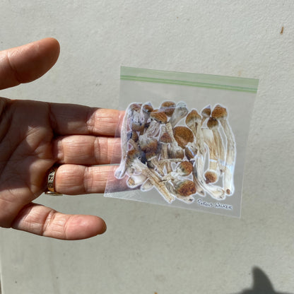 BAG OF SHROOMS REVERSIBLE BUCKET HAT