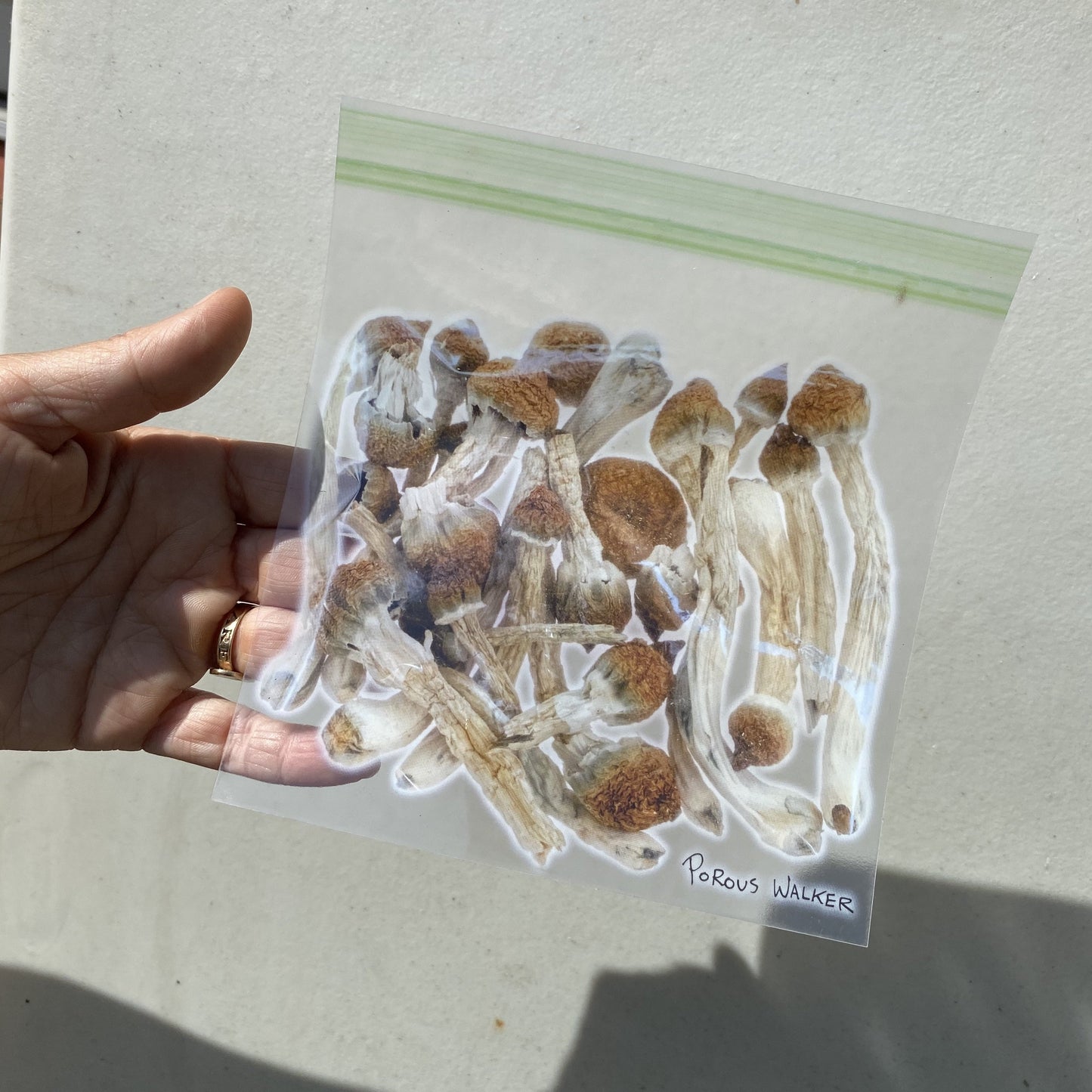 BAG OF SHROOMS POCKET TEE (Rainbow)