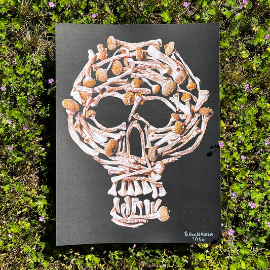 PSILOCKULL PRINT SIGNED (11"x14")