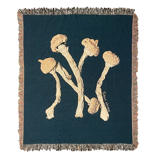 SPORETS BLANKET (NY)