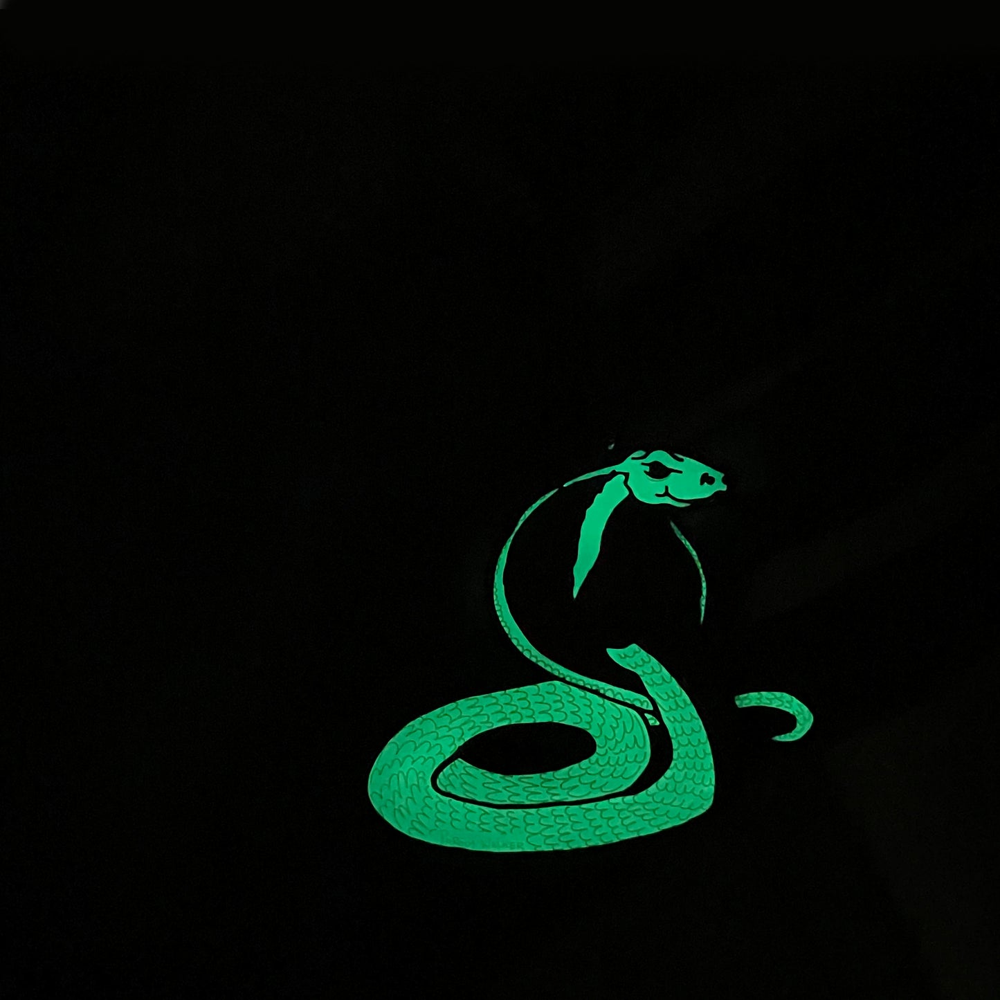 NOBRA KEYCHAIN (GLOW IN THE DARK)