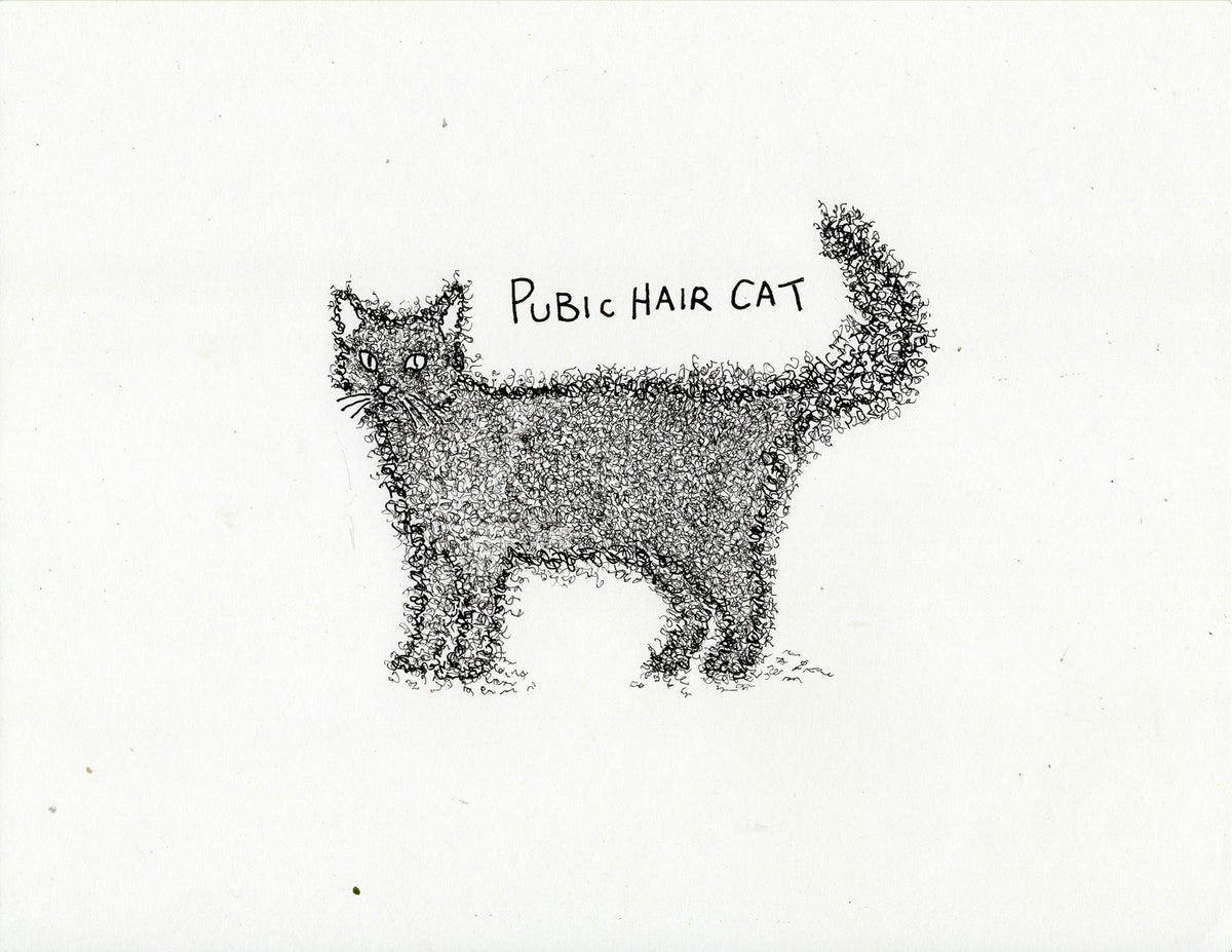 PUBIC HAIR CAT