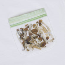 Load image into Gallery viewer, BAG OF SHROOMS POCKET TEE (Rainbow)