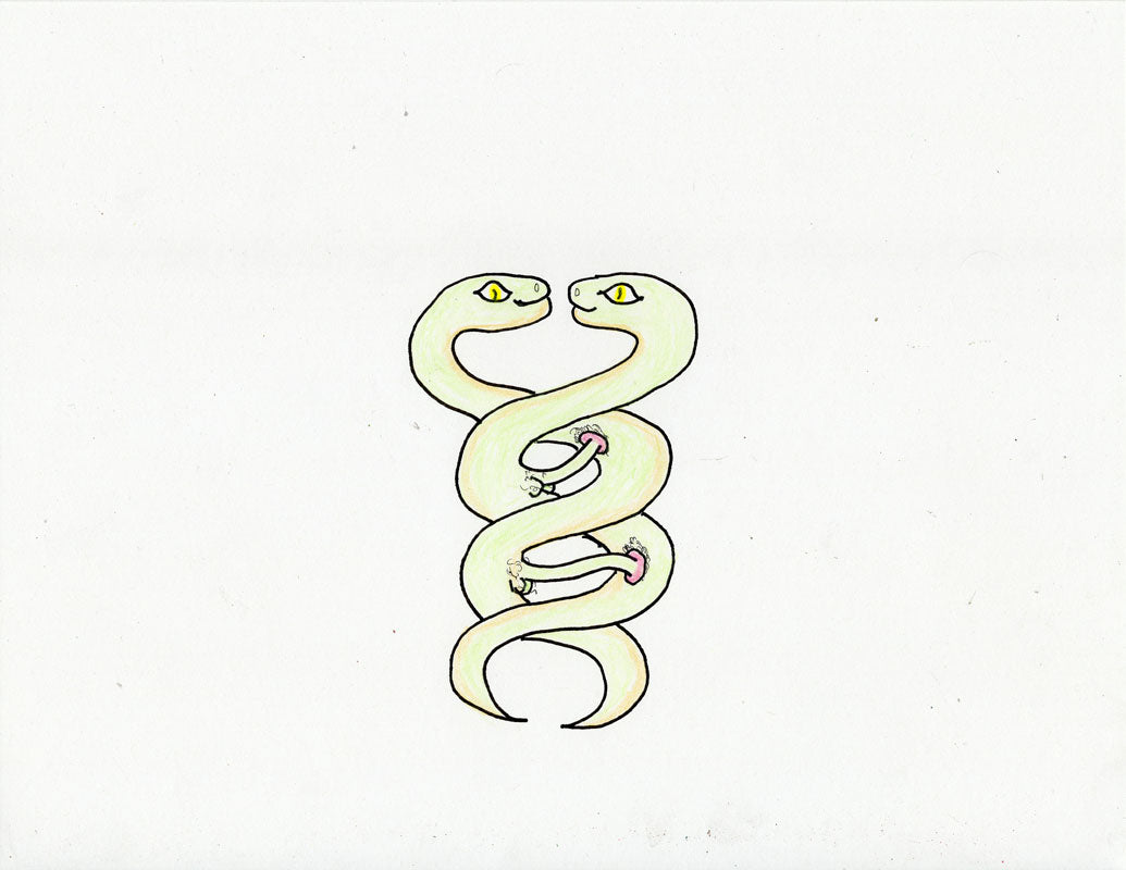 SNAKES