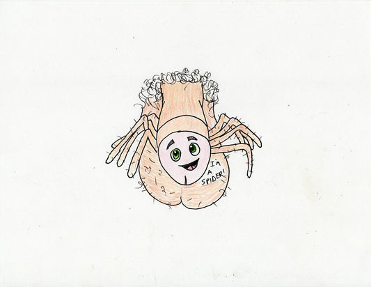 SPIDER