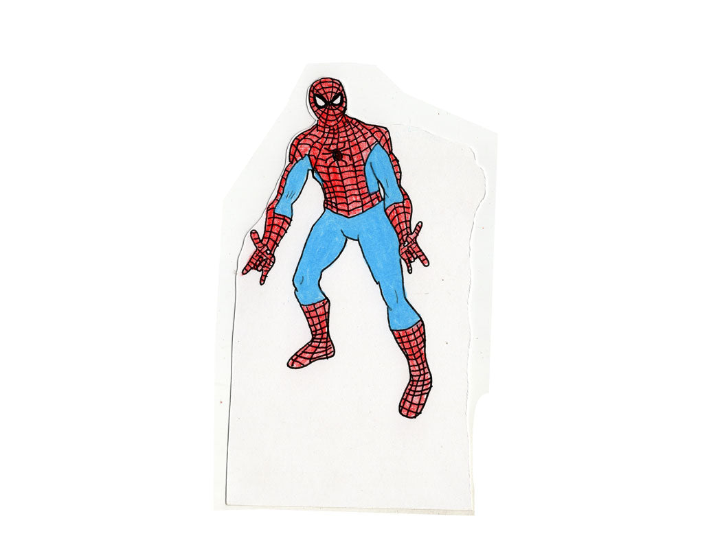 SOURCE OF SPIDEYS WEBS EXPOSED (2 PIECE)