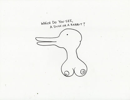 WHICH DO YOU SEE? (3 ORIGINAL DRAWINGS)