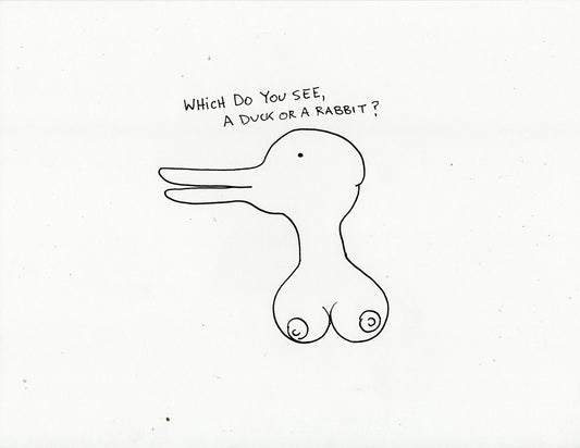 WHICH DO YOU SEE? (3 ORIGINAL DRAWINGS)