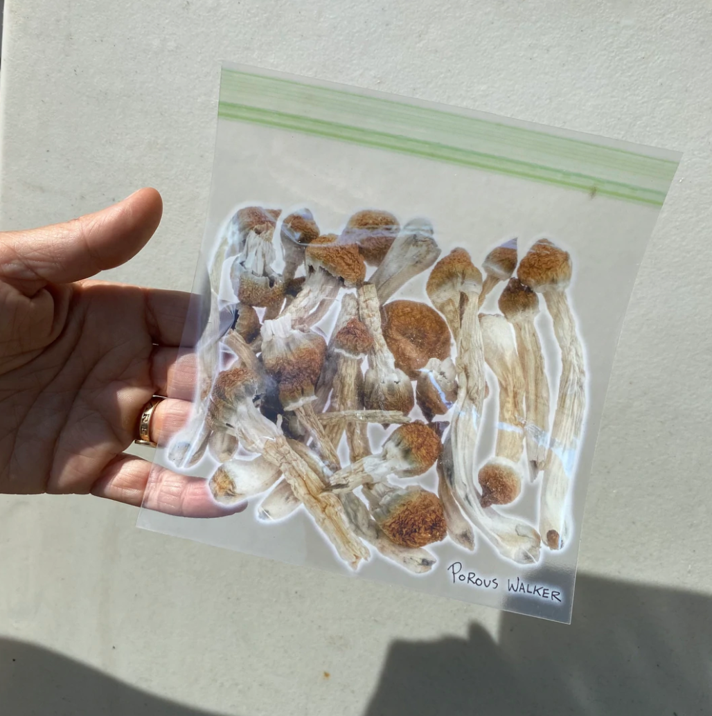 BAG OF SHROOMS TOTE BAG