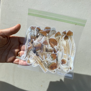 BAG OF SHROOMS/BUDS STICKERS