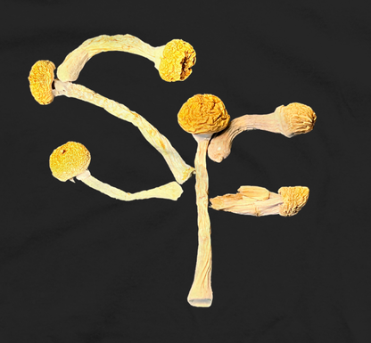 SF TEE (BLACK)