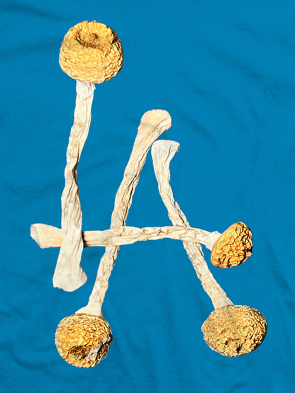 LA Tee (DODGER BLUE)