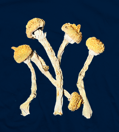 NY Tee (YANKEE BLUE)