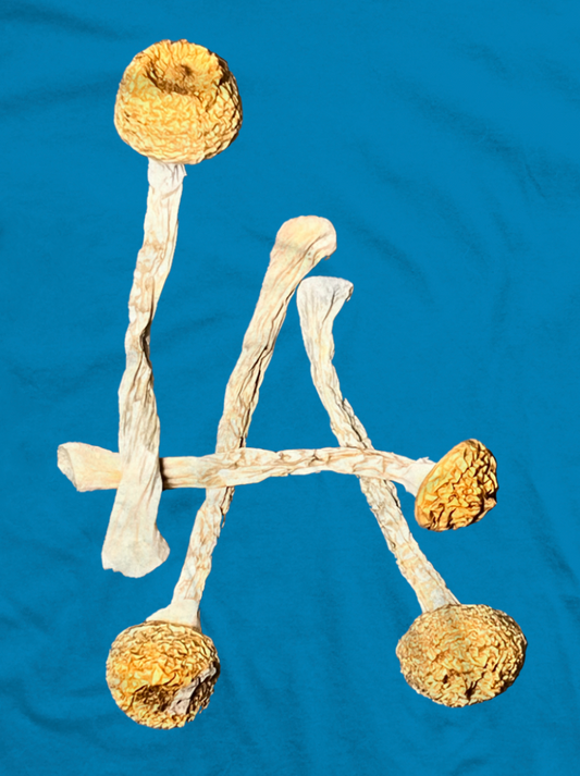LA Zip-Up Hoodie (DODGER BLUE)