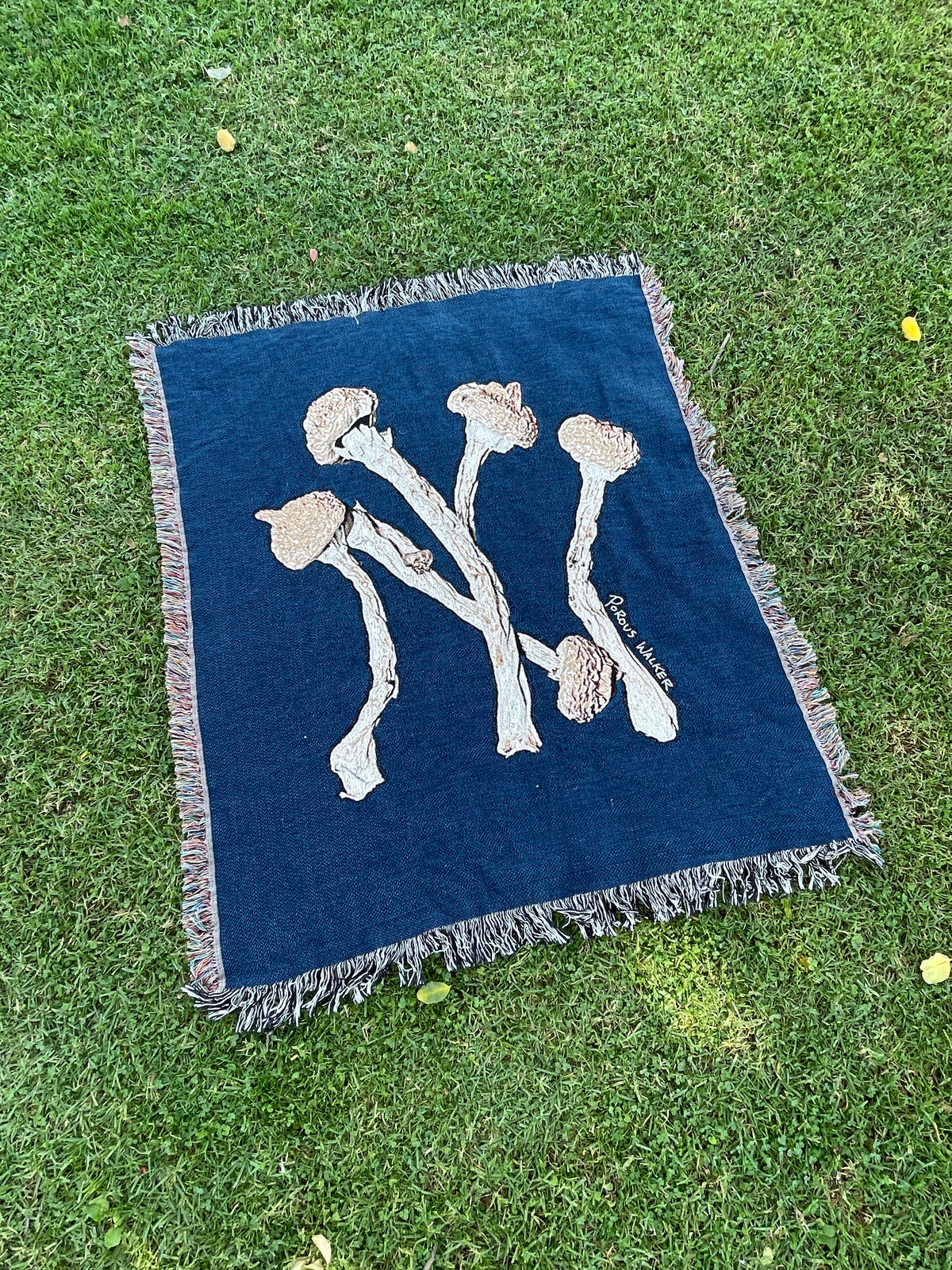 SPORETS BLANKET (NY)
