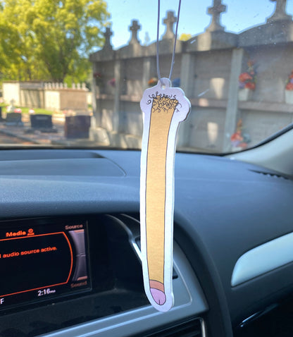 DONGZ Air Fresheners (2 Pack)