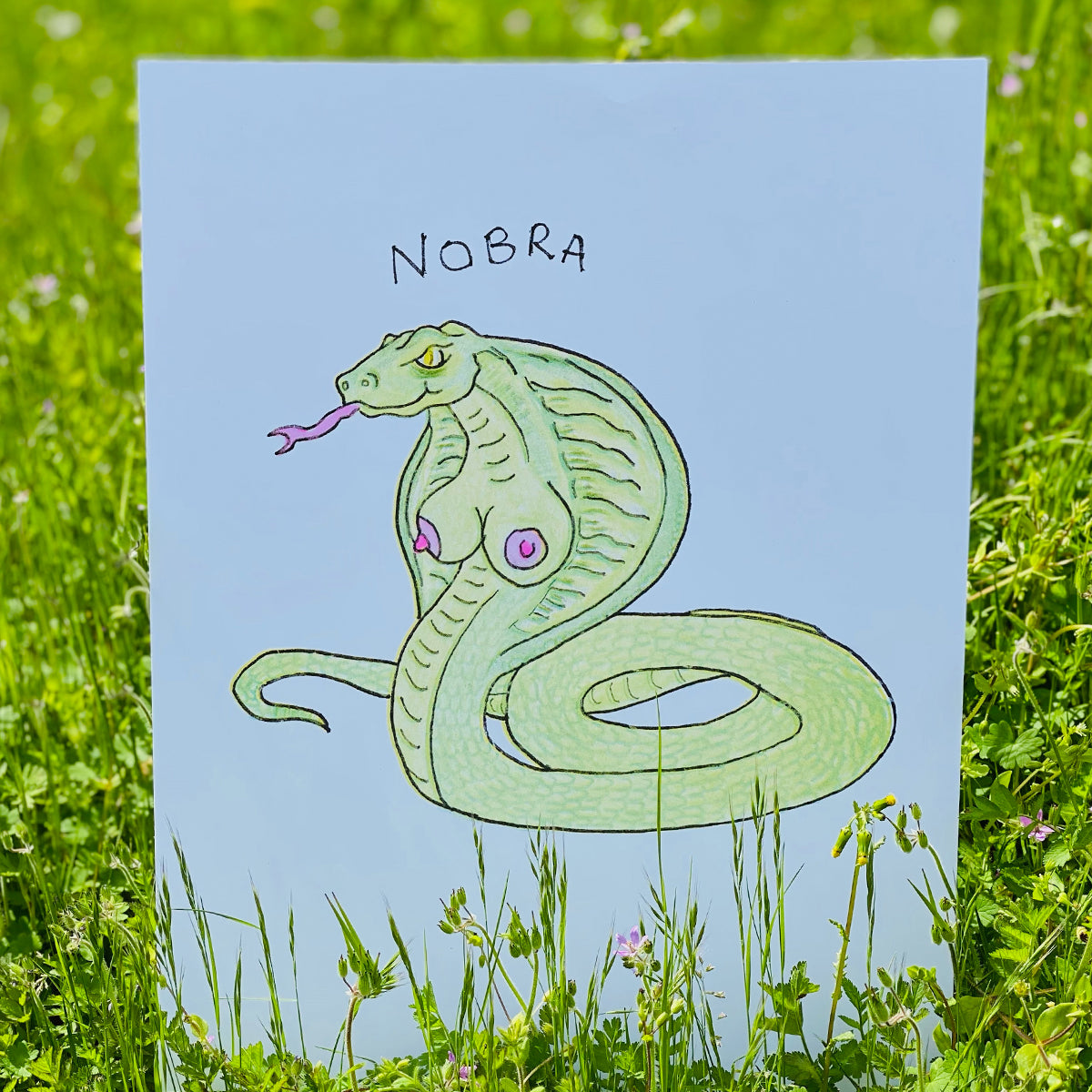 NOBRA PRINT SIGNED (11"x14")
