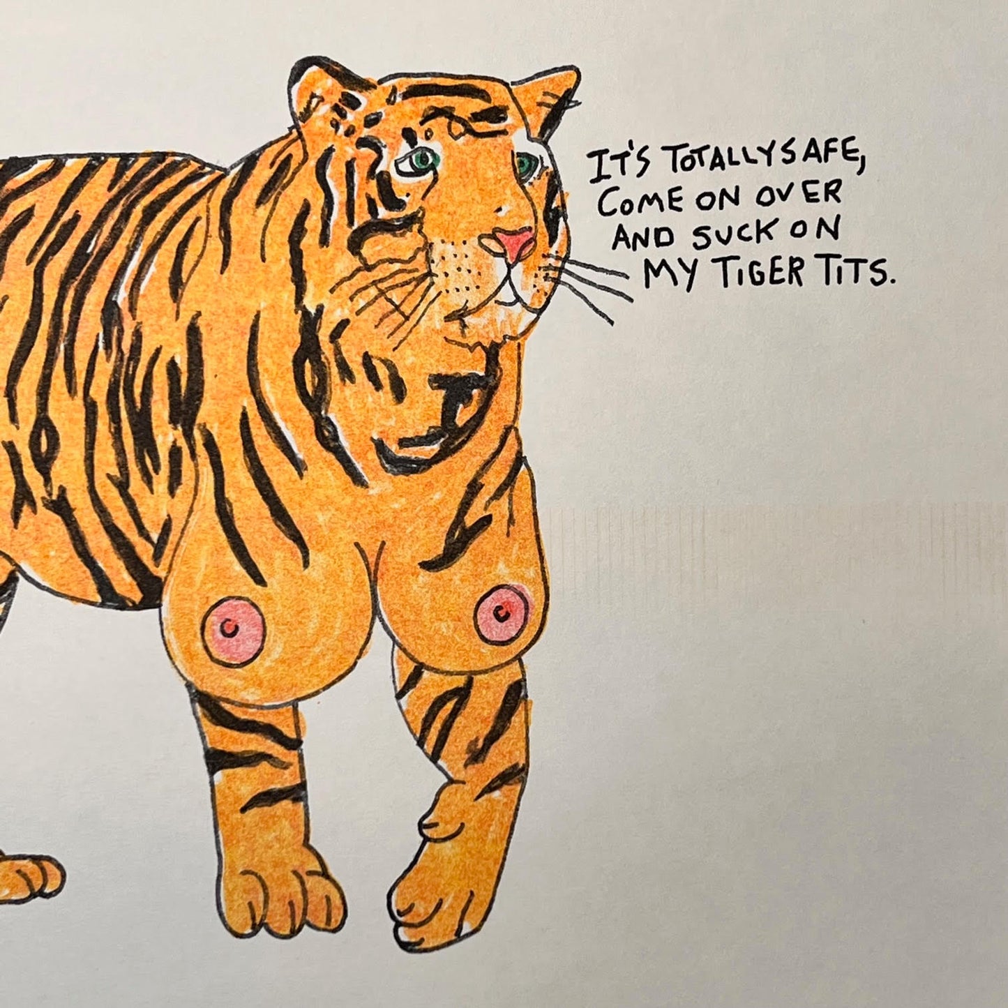 TIGER TITS 11"X14" PRINT(ENTRY TICKET TO WIN HAND KNIT RUG)